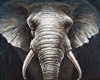 Elephants Art