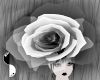 Colourless Rose Hairpin