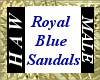 Royal Blue Sandals - M