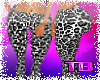 TB|BMXXL Fancy leopard