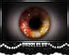 *DL* Orange Cicle Eyes
