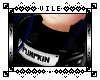 `VM. Pumpkin's Collar