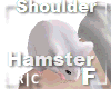 R|C Hamster White F
