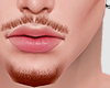 r. Beard Mustache Ginger