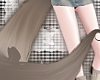 NNN.茶色 FoxTail