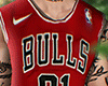 C. Jersey Bulls