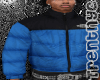 NORTH FACE BLUE PUFFER