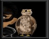 [xo]my cute owl animated