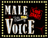 Voice winner/ male