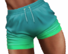 Beach Shorts (v1)