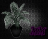 [M]Dark Wood Plant