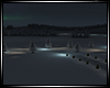 Christmass Forest