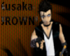 Brown Kusaka hair