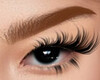 Carrots Brows