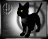 DeD Animated Black Cat