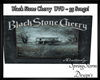 BlackStoneCherry DVD~35S