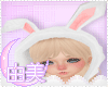 ♔ Kids Bunny Suit