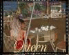 !Q Beautiful Terrace DC