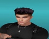 Cosmo Hr Black Burgundy
