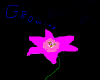 A Bloom 4 U (flower)