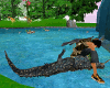 safari crocodile