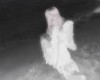 angel wings head