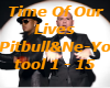 Time Of Our Lives-Pitbul