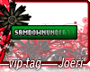 j| Samdownunder77