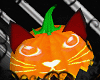 (Uv) Miau Orange Pumpkin