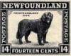 Nez Newfoundland Stamp