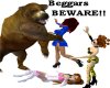Beggars Beware the Bear!
