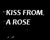 kISS FROM A ROSE