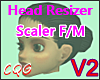 CG: PerFect HEAD *V2