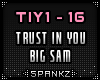 Trust In You - Big Sam
