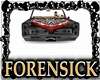 Forensick Car