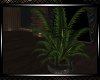 *Endless Planter 4
