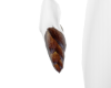 bamboo shoot M