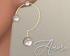 $ Gold Earrings ?
