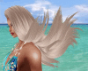Wind Blonde S Missy