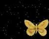 Light golden butterflies