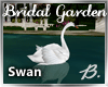 *B* Bridal Garden Swan