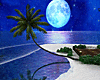 Romantic Moonlight Beach