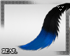 B | Xeas Tail