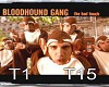 Bloodhoundgang touch 