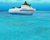 Private Vacation Boat