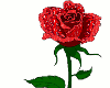 Q~Animated Rose Sticker