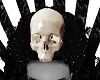 FG~ Skull Crown
