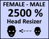 Head Scaler 2500%
