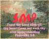 SMP-Proverbs3:5