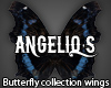 Butterfly wings #13